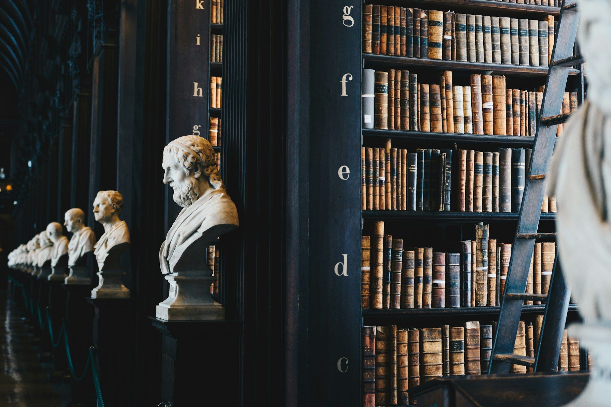 Hohe Holzregale mit ledergebundenen Büchern und Marmorbüsten in einer alten Bibliothek